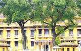 Cơ quan, công sở ở Hà Nội treo cờ rủ ngày Quốc tang Chủ tịch nước Trần Đại Quang